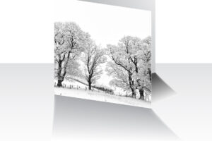 Stationery