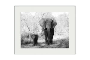 Mother and Child | Mounted Print